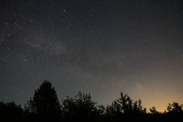 Gece Yıldızlı Gökyüzü Orman Siluetinin Üzerinde Samanyolu Ile — Stok fotoğraf