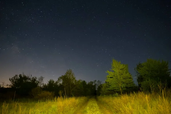 森のグレードの上にミルキーな方法で夜の星空屋外風景 — ストック写真