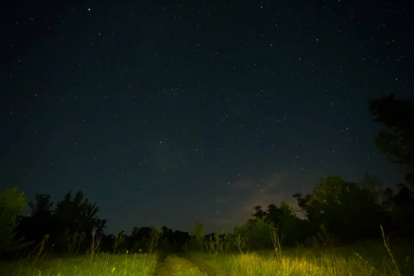 Éjszakai Csillagos Tejes Felett Erdő Tisztás Éjszaka Szabadban Táj — Stock Fotó