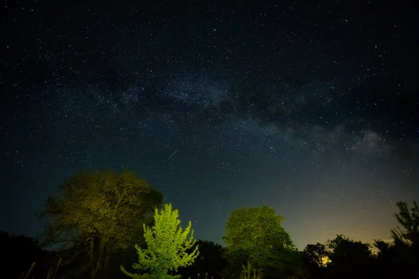 Céu Estrelado Noite Com Caminho Leitoso Acima Clareira Floresta Paisagem — Fotografia de Stock