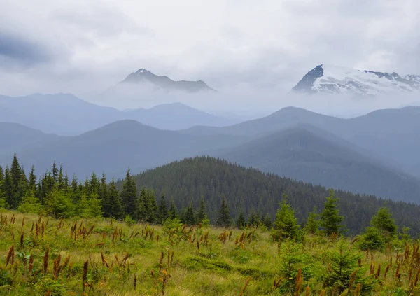 Зеленая Горная Долина Тумане Плотных Облаках — стоковое фото