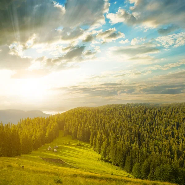 Grünes Gebirgstal Beim Dramatischen Sonnenuntergang Schöner Reisehintergrund — Stockfoto