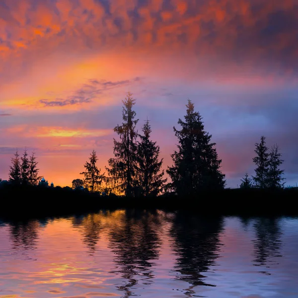 湖の海岸にあるモミの森のシルエット劇的な夕日美しい自然の背景 — ストック写真