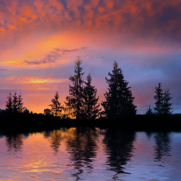 Silhouette Forêt Sapins Sur Côte Lac Coucher Soleil Spectaculaire Beau — Photo