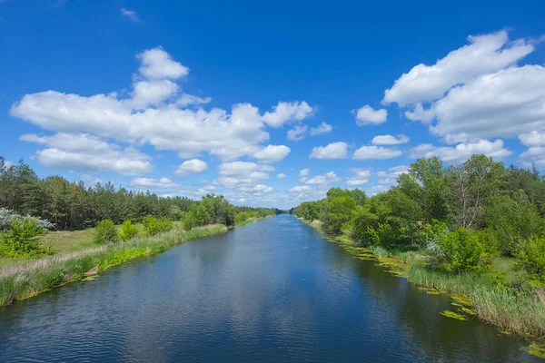 Canale Irriguo Con Foresta Sulla Costa Sotto Cielo Nuvoloso Blu — Foto Stock