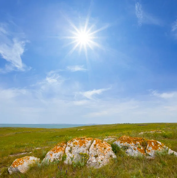 Green Prairie Stones Sparkle Sun Summer Stony Field Scene — Foto de Stock