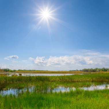 Güneşli günde yeşil çayırlar arasında küçük bir göl