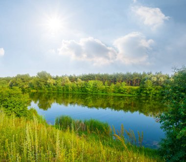 Güneşli bir günde sahilde ormanlı küçük sessiz bir göl.