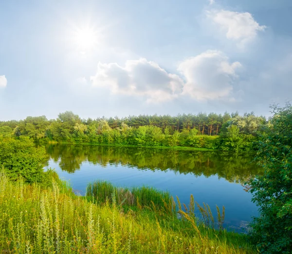 Güneşli bir günde sahilde ormanlı küçük sessiz bir göl.