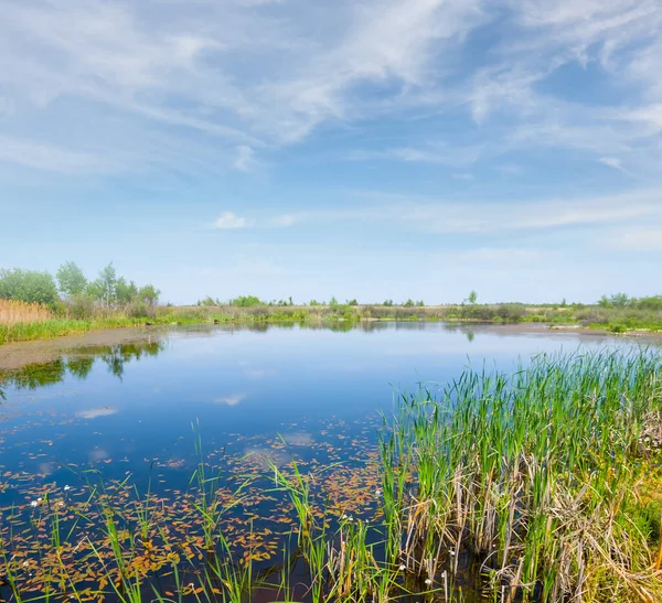 夏の日の畑の中の小さな静かな湖 — ストック写真