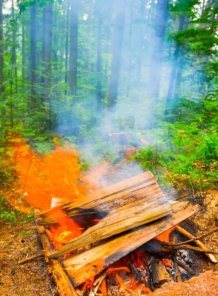 Close Kampvuur Zomer Bos Outdoor Camping Scene — Stockfoto