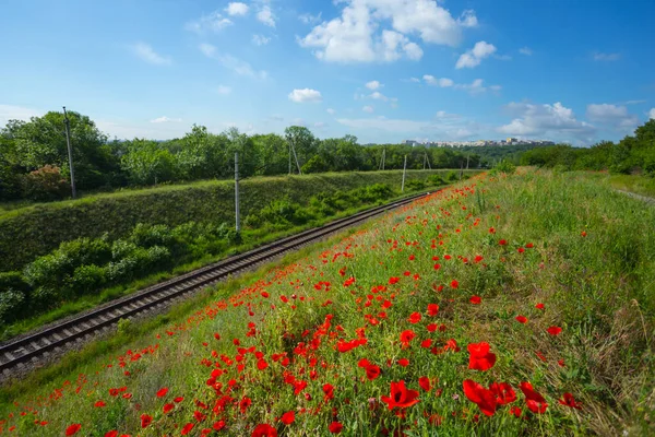 Chemin Fer Parmi Les Collines Verdoyantes Avec Pavot Rouge Sur — Photo