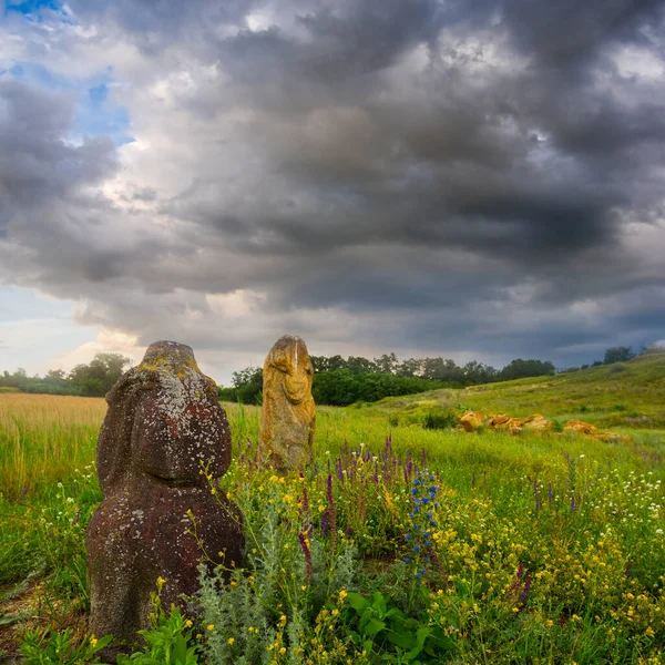緑の草原の間に古い古代の彫像の滞在 歴史考古学的背景 — ストック写真
