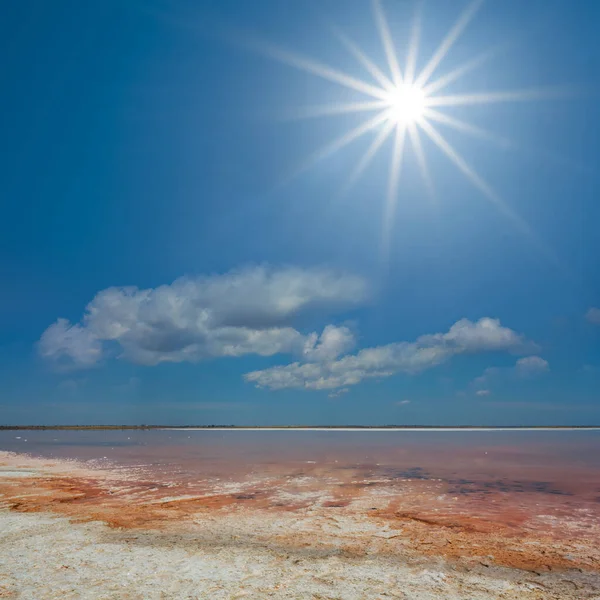 Sıcak Güneşli Bir Günde Sessiz Pembe Bir Göl — Stok fotoğraf