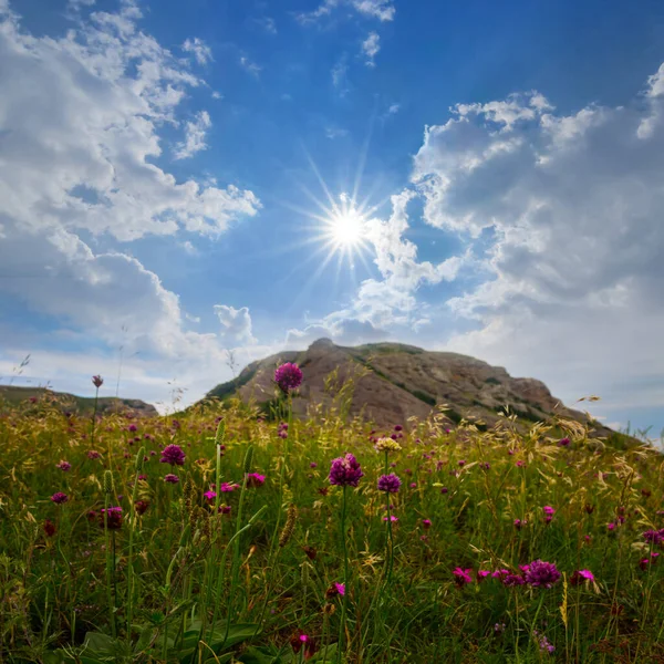Fäste Topp Ovanför Grön Slätt Med Blommor Den Soliga Dagen — Stockfoto