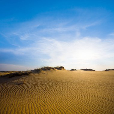 Parlak güneş ışığında kumlu çöl kumları