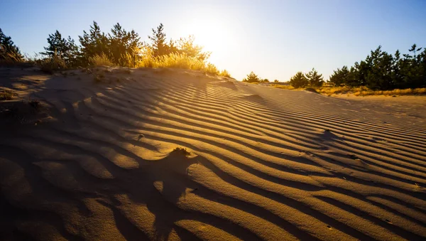 Sandhügel Der Wüste Bei Sonnenuntergang Natürliche Abendlandschaft — Stockfoto