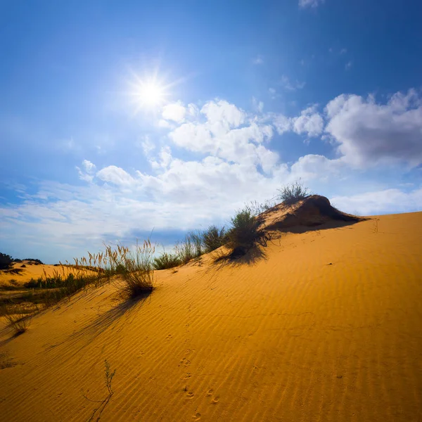 Zandwoestijn Heuvel Het Licht Van Fonkelende Zon — Stockfoto