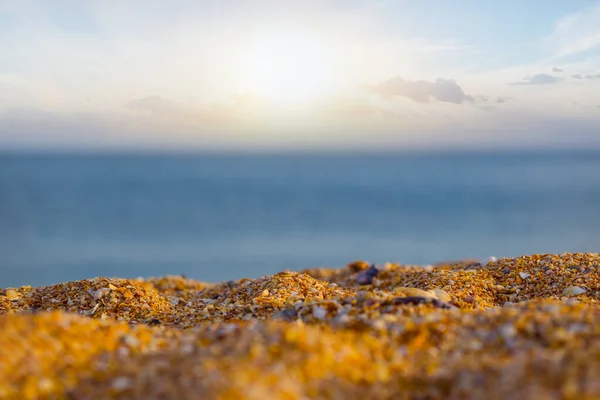 Closeup Praia Mar Arenoso Pôr Sol Cena Férias Verão — Fotografia de Stock