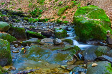 Dağ kanyonundaki taşların üzerinden akan küçük dere.