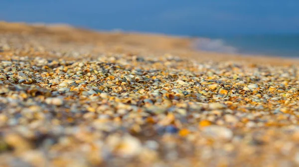 Closeup Αμμώδης Παραλία Στη Θάλασσα Κατά Διάρκεια Της Καλοκαιρινής Ημέρας — Φωτογραφία Αρχείου