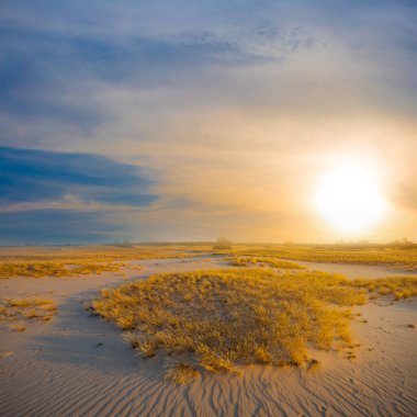 Yaz kumlu çayırlarda gün batımında, akşam kırsal kesimde