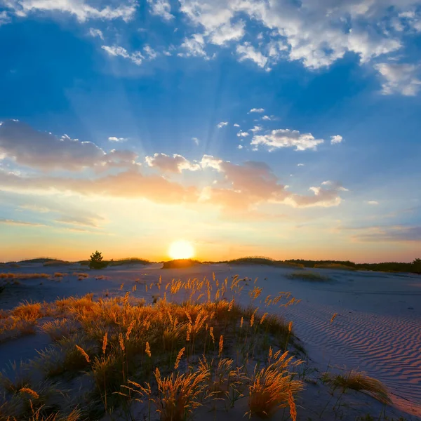 Estate Prateria Sabbiosa Tramonto Drammatico Scena Campagna Serale — Foto Stock