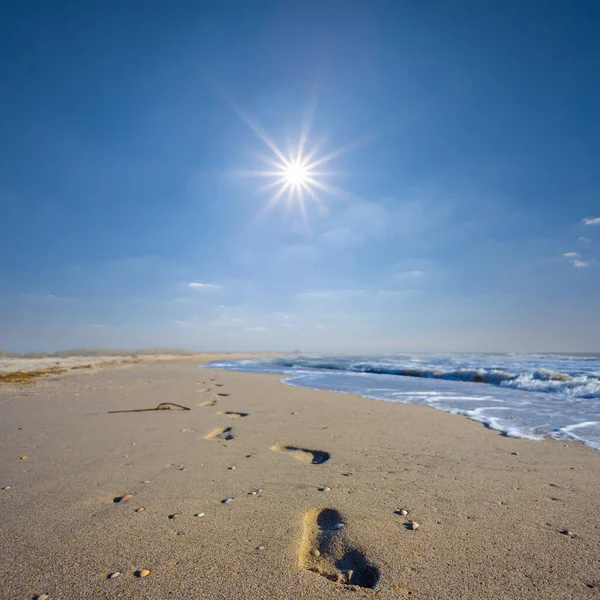 Sıcak Yaz Gökyüzünün Altında Insan Izleri Olan Kumlu Deniz Plajı — Stok fotoğraf
