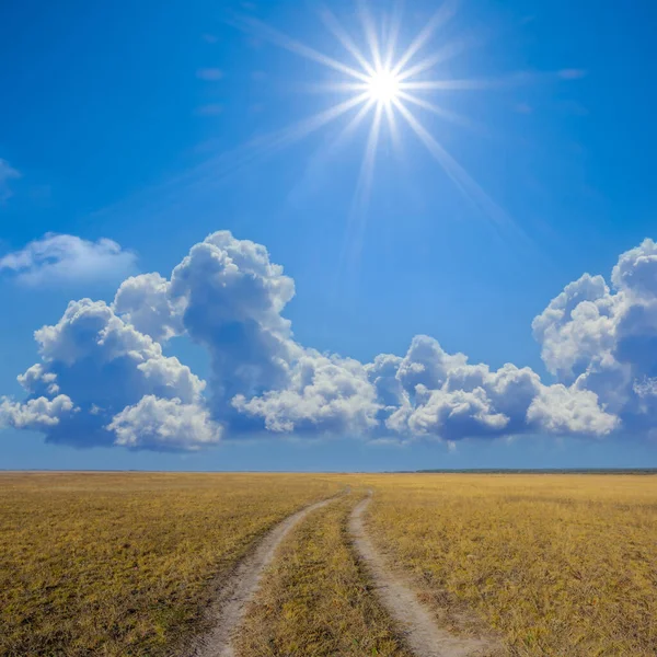 Parlak Güneşin Altında Kurak Çayırlar Arasında Yol — Stok fotoğraf