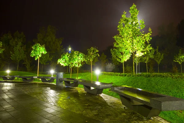 Wet City Park Street Light Lantern Night Misty City Scene — Stock Photo, Image