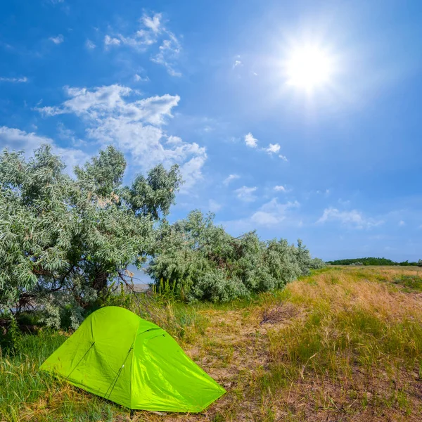 Zelený Turistický Stan Pobyt Lesní Mýtině Pod Jiskřivým Sluncem Přírodní — Stock fotografie