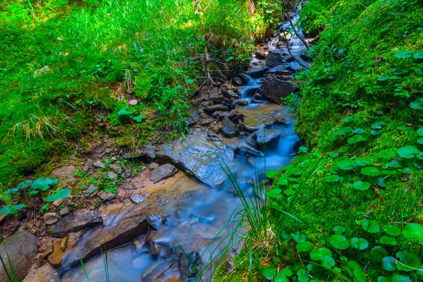 Piccolo Ruscello Che Scorre Veloce Sopra Pietre Canyon Montagna — Foto Stock