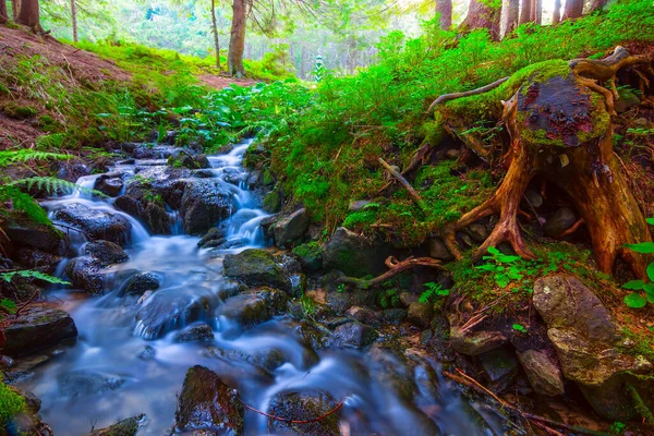 Small Brook Rushing Stones Mountain Canyon — Stock Photo, Image