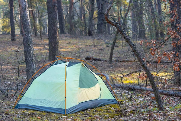 Camp Touristique Dans Forêt Pins Arrière Plan Voyage Naturel — Photo