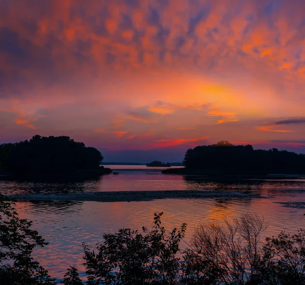 Dramatic Sunset Quiet Lake Tree Lake Coast Silhouette Twilight — Stock Photo, Image