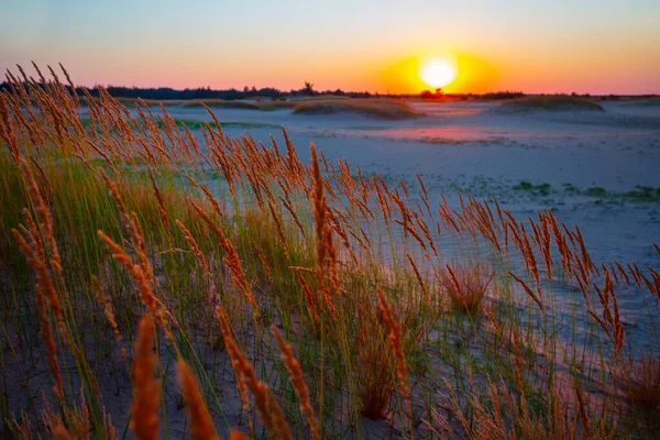 Sanddüne Bei Sonnenuntergang Natürlicher Reisehintergrund — Stockfoto