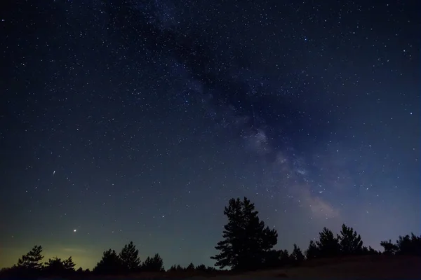 Orman Silueti Yıldızlı Gökyüzünün Altında Samanyolu Açık Hava Sahnesi — Stok fotoğraf