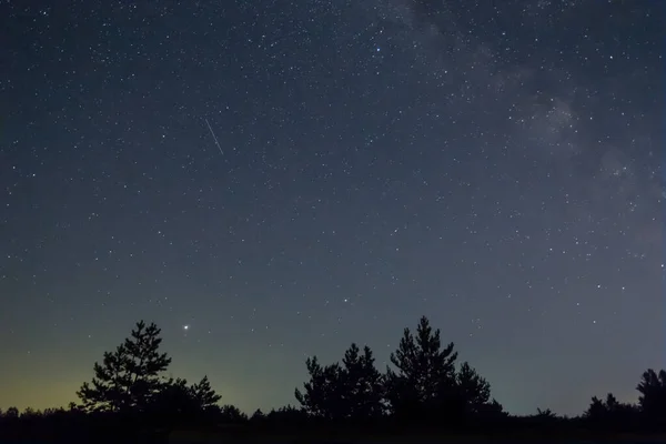 Silueta Del Bosque Bajo Cielo Estrellado Con Vía Láctea Escena —  Fotos de Stock