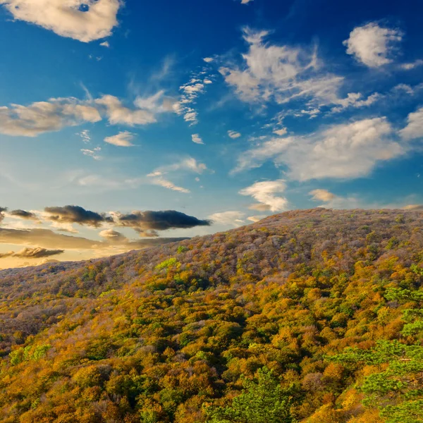 Berghang Mit Rotem Wald Bedeckt Herbstliche Naturszene — Stockfoto