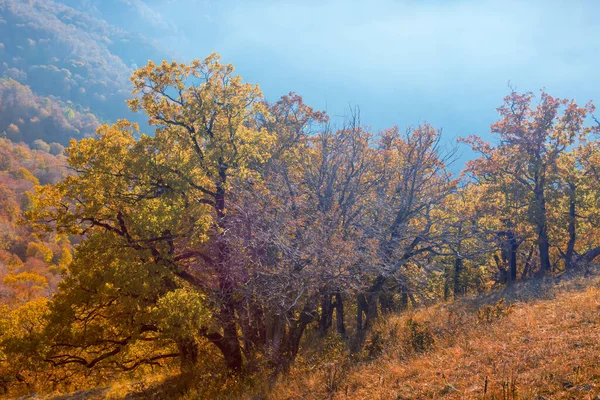 Mountain Backbone Early Morning Autumn Natural Scene — 图库照片