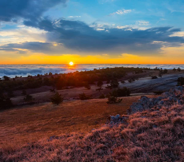 Meseta Montaña Con Bosque Pinos Atardecer — Foto de Stock