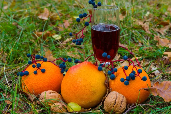 Closeup Vine Glass Heap Orange Fruits Autumn Outdoor Still Life — Stock Photo, Image