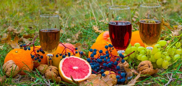 Gros Plan Verre Vigne Entre Tas Orange Fruits Automne Nature — Photo