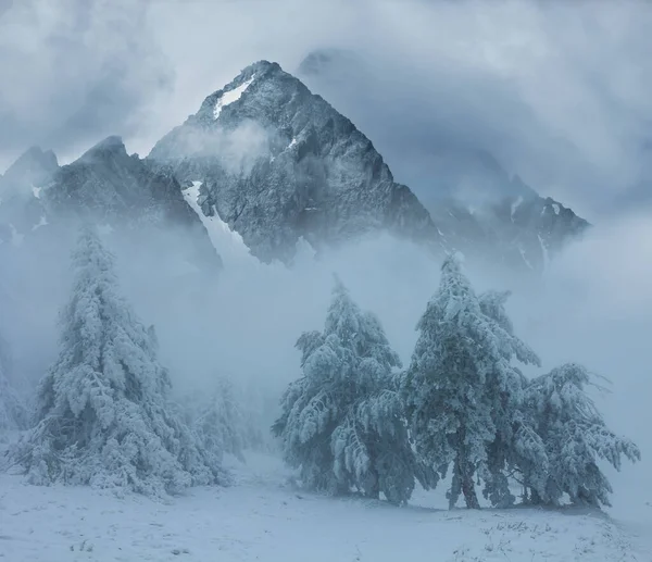 Inverno Valle Montagna Con Foresta Nella Nebbia Dense Nuvole Concetto — Foto Stock