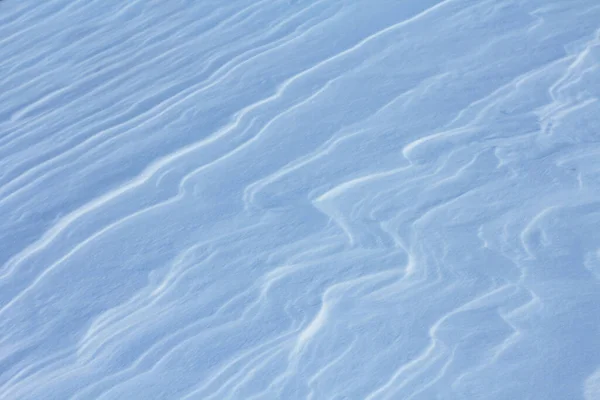 特写蓝雪自然背景 — 图库照片