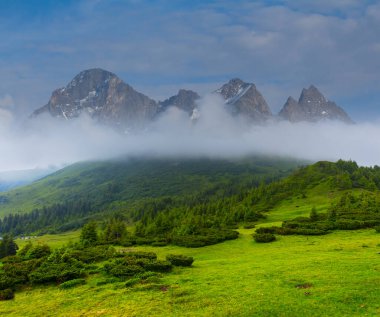 Sis ve yoğun bulutlar içinde yeşil dağ vadisi