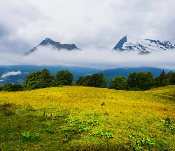 Green Mountain Valley Mist Dense Clouds — Stock Photo, Image