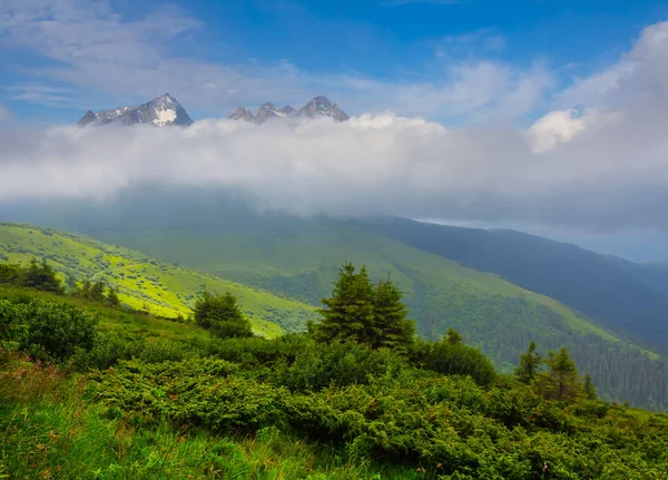 Vale Montanha Verde Névoa Nuvens Densas — Fotografia de Stock