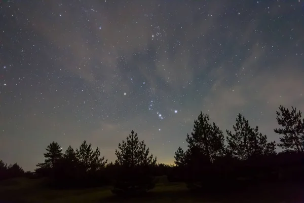 Costellazione Orione Sul Cielo Stellato Sopra Silhouette Della Foresta Scena — Foto Stock