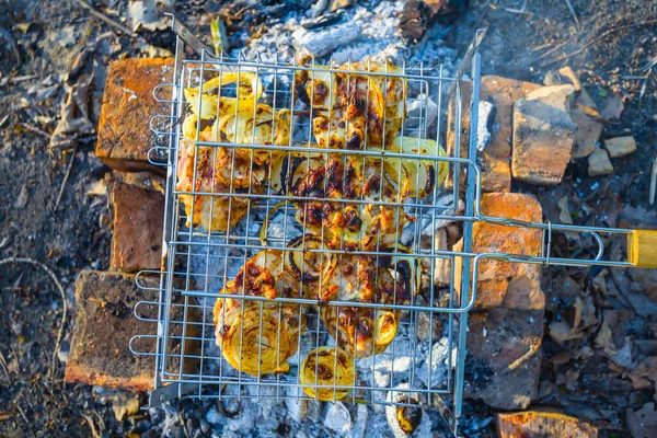 Närbild Grill Förberedd Brand — Stockfoto